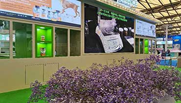 上海展臺搭建